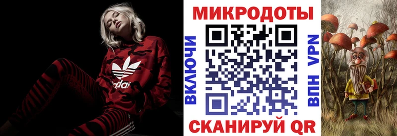 Псилоцибиновые грибы Psilocybe Спасск-Рязанский